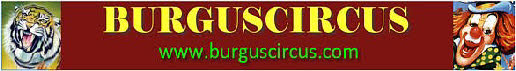 logo_burgus